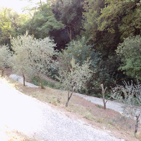 Villa Fattoria Ceragioli à Camaiore Extérieur photo