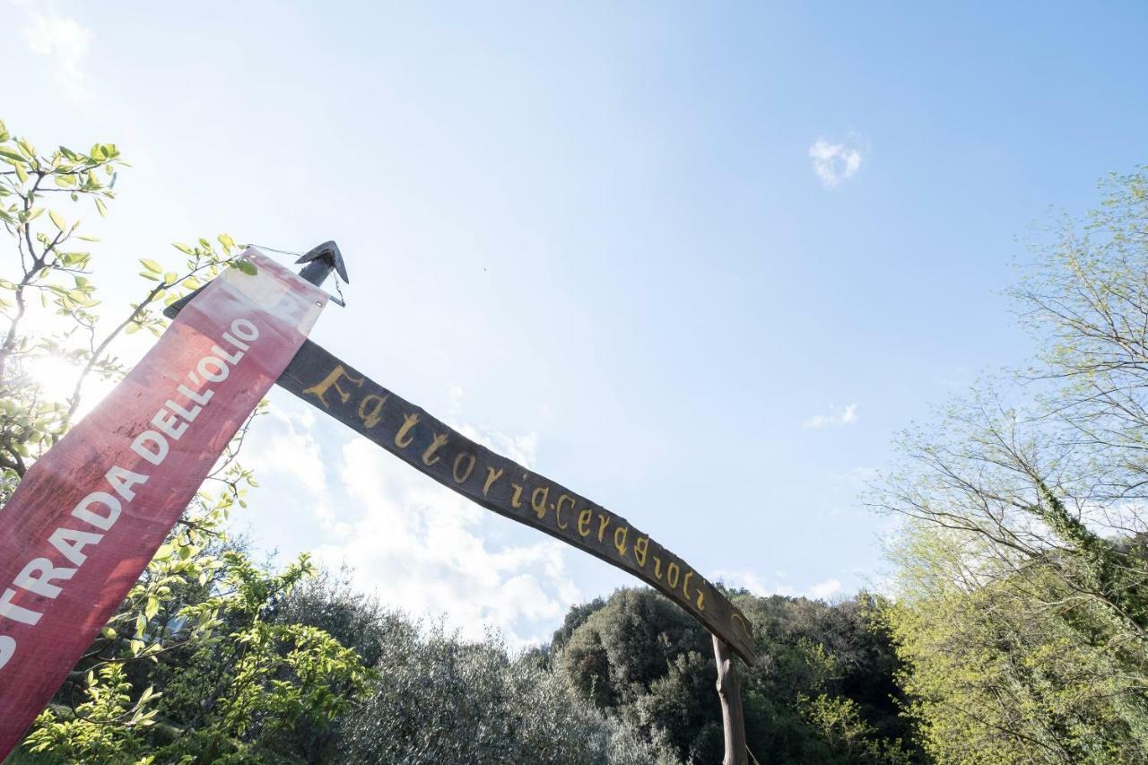 Villa Fattoria Ceragioli à Camaiore Extérieur photo