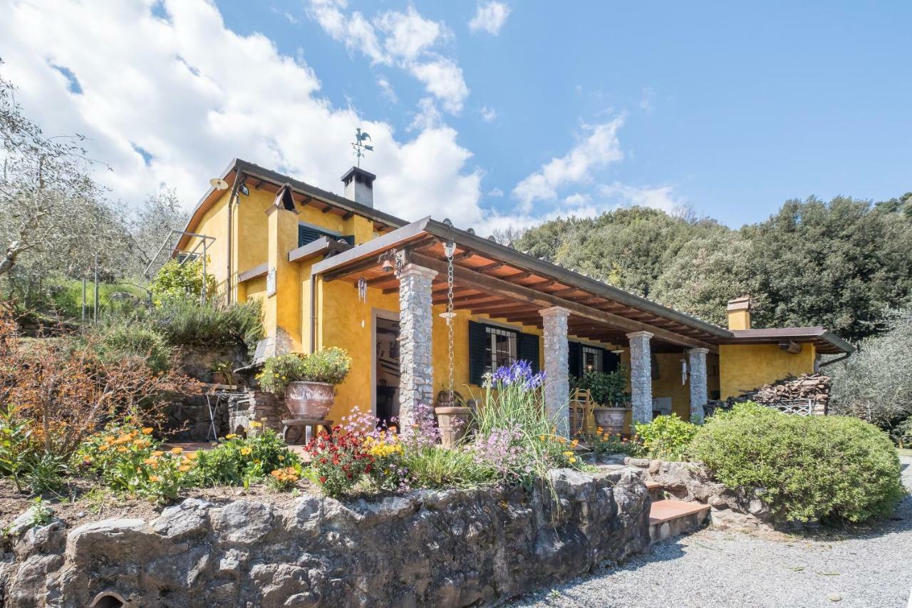 Villa Fattoria Ceragioli à Camaiore Extérieur photo