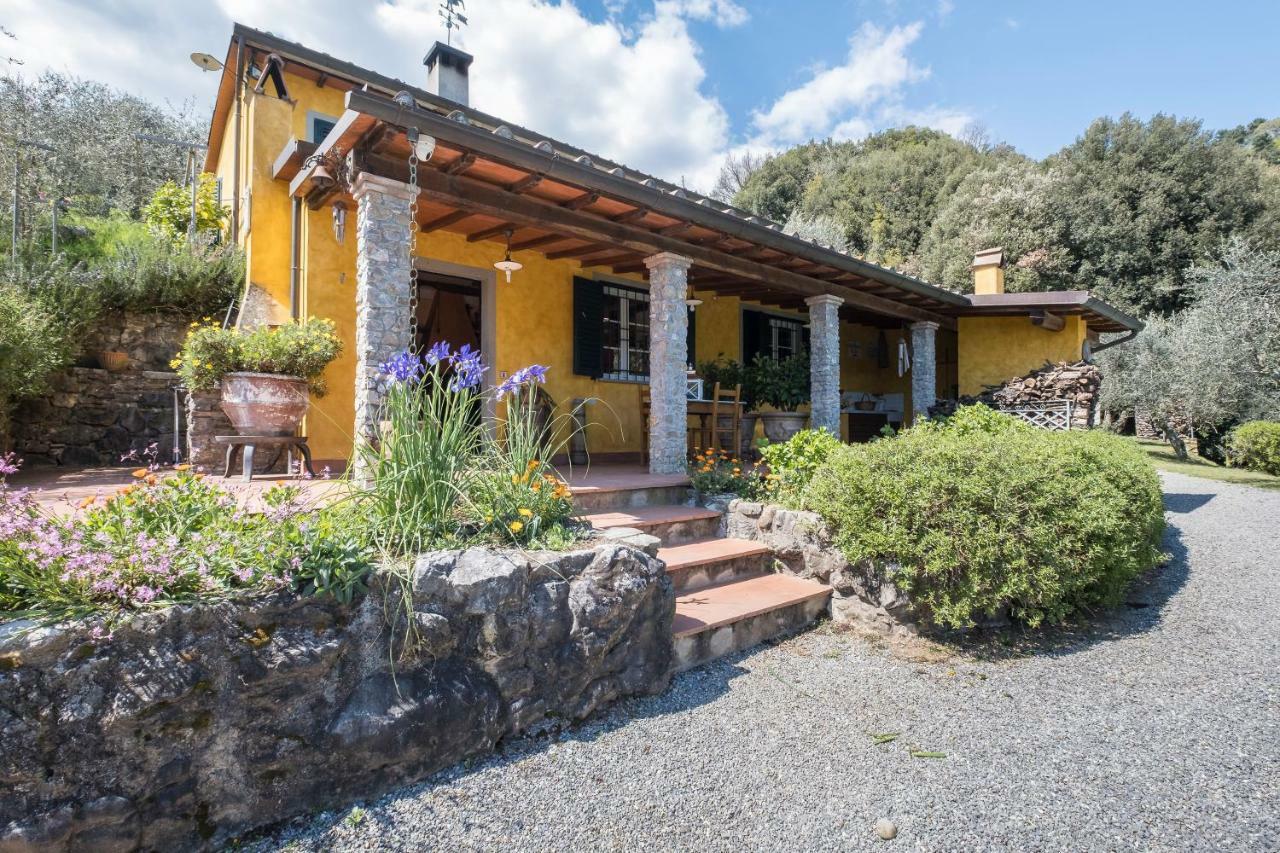 Villa Fattoria Ceragioli à Camaiore Extérieur photo